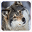 icon Wolves Live Wallpaper 7.5