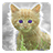 icon Cat Live Wallpaper 7.5
