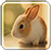 icon Bunny Live Wallpaper 1.8