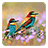 icon Birds Live Wallpaper 7.5