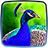 icon Peacocks Live Wallpaper 1.5