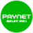 icon uz.paynet.app 3.0.7