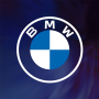 icon BMW Performance SG
