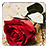 icon Roses Live Wallpaper 7.5
