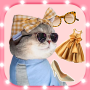 icon Cat fashion stylist