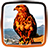 icon Hawks Live Wallpaper 1.5