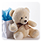 icon Teddy Bear Live Wallpaper 3.5