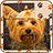 icon Pets Jigsaw Puzzle Game 3.5