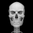 icon Bones 3D Anatomy 3.0.7