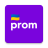icon Prom 2.163.6