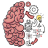 icon Brain Test 2.744.1