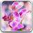 icon Orchid Live Wallpaper 17.0