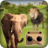 icon VR Forest Animals Adventure 1.9