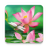 icon Lotus Flowers Live Wallpaper 1.0.8