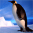 icon Penguin Jigsaw Puzzles 2.9.27