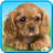 icon Talking Puppy 1.720.0.528