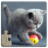 icon Cat Puzzles 17.3