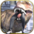 icon Dinosaur simulator Dino world 1.1.1