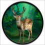 icon Wild Animals: Jungle Hunter 3D