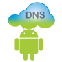 icon DNS Server