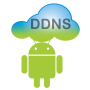 icon Dynamic DNS Update