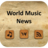 icon World Music News 5.1