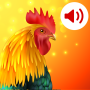 icon Animals: ringtones