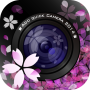 icon Sakura Camera