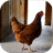 icon Chicken Sounds 1.2