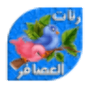 icon Birds RingTones