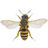 icon Bee 1.19
