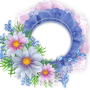 icon Spring photo Frames