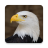 icon Eagle Sounds 2.9