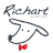 icon Richart 3.4.2