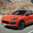 icon Driving Cayenne 1.0