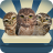 icon Owlcoaster 1.23