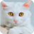 icon Talking Cute Cat 1.2.8