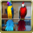 icon Talking Parrot Couple 1.3.6