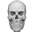 icon Bones 3D Anatomy 3.0.8