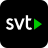 icon SVT Play 11.6.6