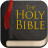 icon Holy Bible 113