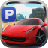 icon Parking Rally 1.0