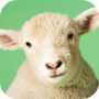 icon Sheep Sounds