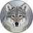 icon Gray wolf Sounds 2.0