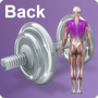 icon Daily Back Video Trainer