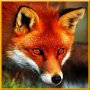icon Angry Wild Fox Simulator