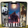 icon Animals Wallpaper HD 4K