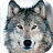 icon Gray wolf Sounds 1.2