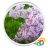 icon Real White Lilacs Live Wallpaper 1.0.b44013