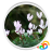 icon Real Flowers Live Wallpaper 1.0.b44013